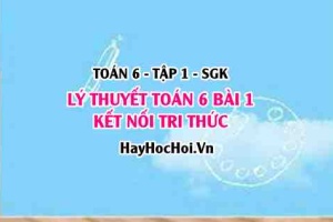 Lý Thuyết Bài 1 Toán 6 Tập Hợp (Kết Nối Tri Thức) - Tóm Tắt & Ví Dụ